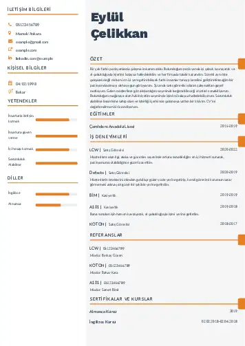 cv indir
